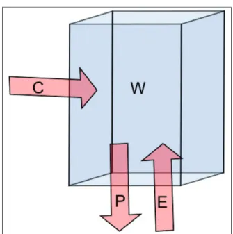 Figure 1.4 Schéma du bilan hydrologique sur une colonne atmosphérique