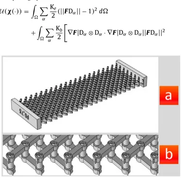 Fig. 2. Experimental observation of the shear of pivots: (a) reference conﬁgura-  tion and (b) shear deformation