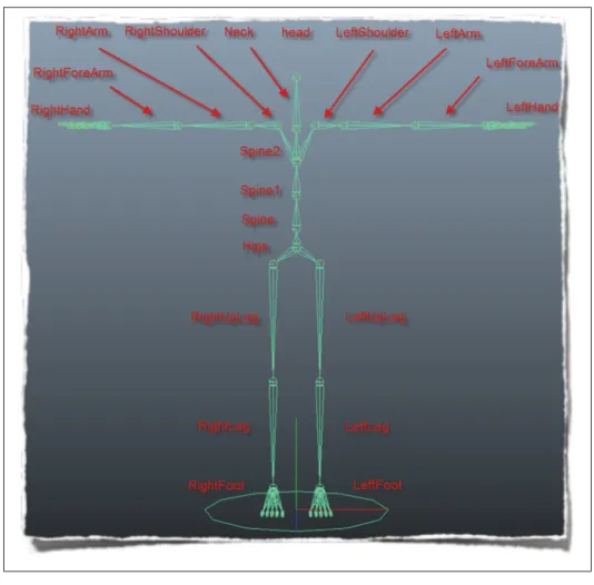 Figure 1.9 Exemple de squelette ﬁlaire d’un avatar.