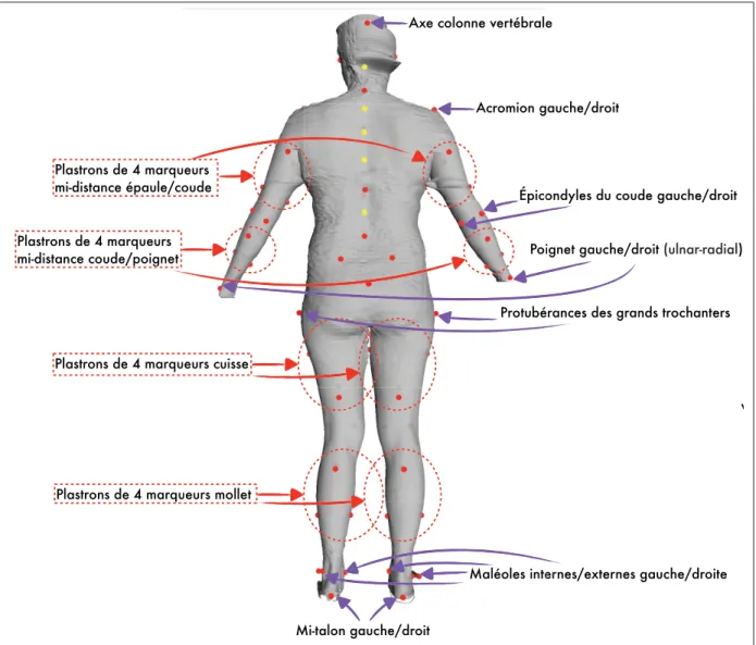 Figure 3.6 Placement des marqueurs de MoCap (vue de dos)