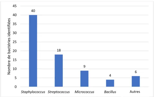 Figure 2: Répartition des bactéries contaminantes par espèce 