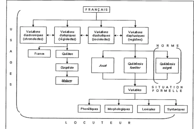 Figure 2-2. Usages et norme du français oral québécois standard