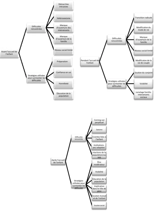 Figure 2: Catégorisation des données 