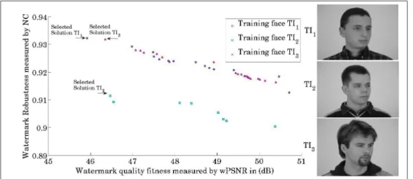 Figure 2.2 Selecting solution among Pareto front for training set face images T I d from PUT database (Kasinski et al., 2008) based on application domain objectives priorities,