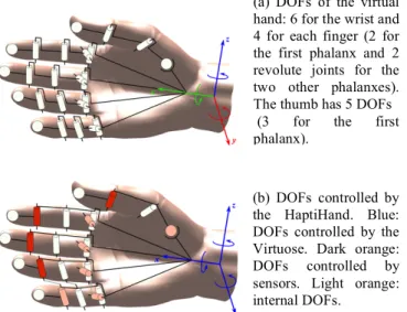 Figure  2:  (a)  Unconstrained  kinematic  model  of  the  virtual  hand, (b) kinematic model associated with the HaptiHand