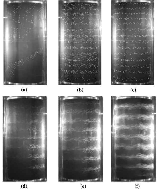 FIG.  5 Visualizations  of  the  two-phase  arrangement  as  a  function  of  Re  number