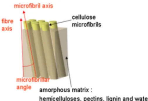 Fig. 2 Schematic representation of the arrangement of the fibre components