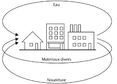 Figure 4 – Approche circulaire des flux dans l’assainissement écosystémique des eaux usées, basé sur le modèle de   Langergraber et Muellegger (2005) 