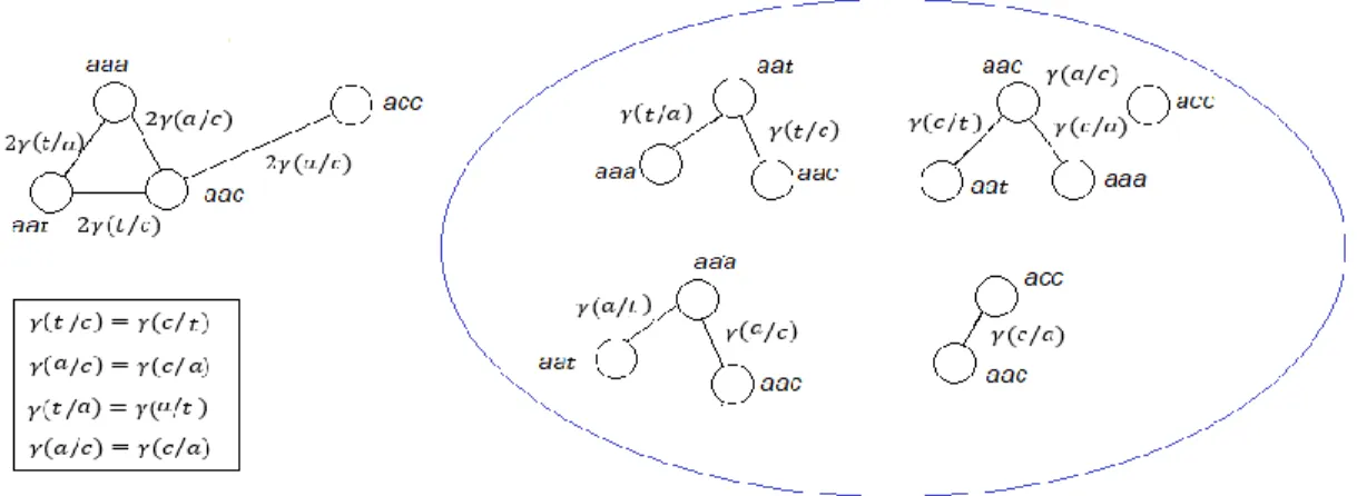 Figure  4.3  Set  of  4-star  graphs  that  represent  the  neighborhood  of  4  codons