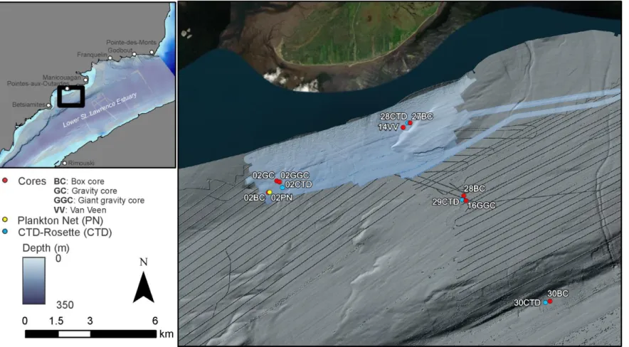 Figure B2: Location of coring, CTD-R and plankton nets in the Pointes-aux-Outardes area collected during COR2001 