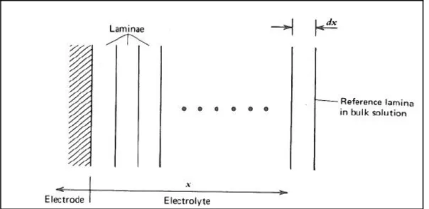 Figure 2.1 Représentation de l'électrolyte en lames                                                                        Tirée de Bard et Faulkner (1980, p