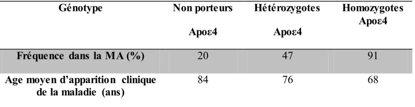 Tableau  1-2.  Effet  de  l’allèle  Apoε4  sur  la  fréquence  et  l’âge  d’apparition  de  la  MA