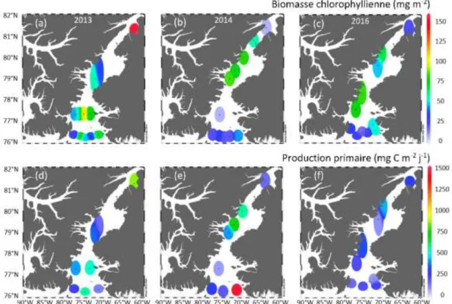 Figure  5 :  Variations  spatiales  (a-c)  de  la  biomasse  chlorophyllienne  et  (d-f)  de  la  production  primaire  totale  intégrées  sur  la  zone  euphotique  dans  les  eaux  du  Nord  et  le  détroit de Nares durant les étés (a, d) 2013, (b, e) 20