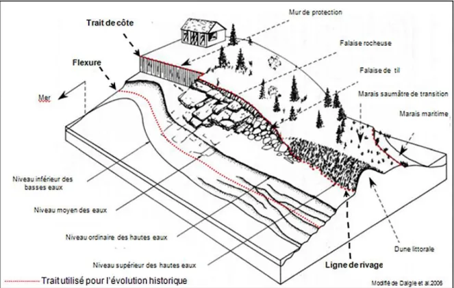 Figure 25. Ligne de rivage utilisée pour tracer l'évolution historique du littoral. (Bernatchez  et Drejza, 2015 d’après Daigle et al., 2006) 