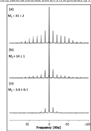 Figure SI2:  2 H MAS (10 kHz) SS-NMR spectra of intact V. splendidus harvested at three different  cell growth times: (a) after 15 h in the mid-log phase (OD 600nm  ≈ 0.3), (b) after 22 h (±2h) at the  beginning of the stationary stage (OD 600nm  ≈0.5), an