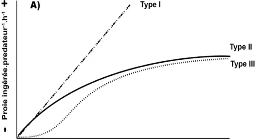Figure  5  :  Schéma  conceptuel  représentant  les  trois  principaux  types  de  réponses  fonctionnelles théoriques pour les taux d’ingestions (a) et les taux d’attaques (b) en fonction  de  l’évolution  de  la  densité  de  proie