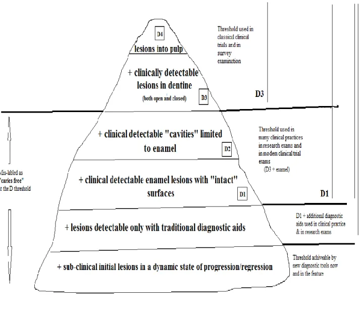 Figure 1.1: Conceptualizing the Caries Process (Pitts, 2001) 