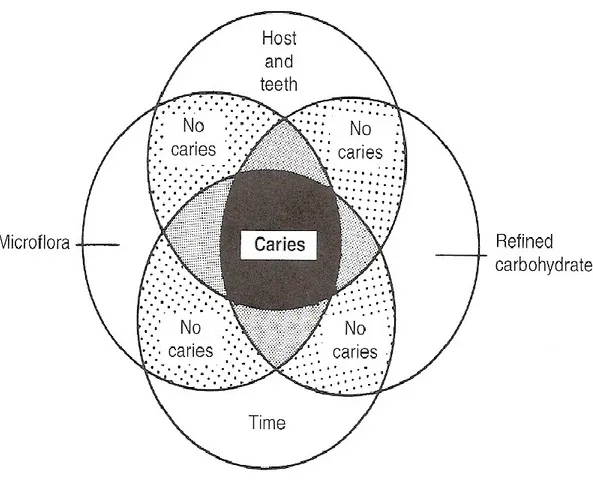 Figure 1.2: Main Etiological Factors of Dental Caries (Selwitz et al., 2007) 