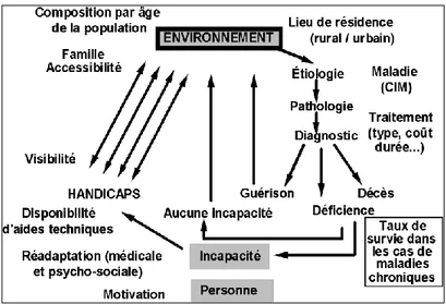 Figure 2 : Schéma unificateur du processus de handicap 