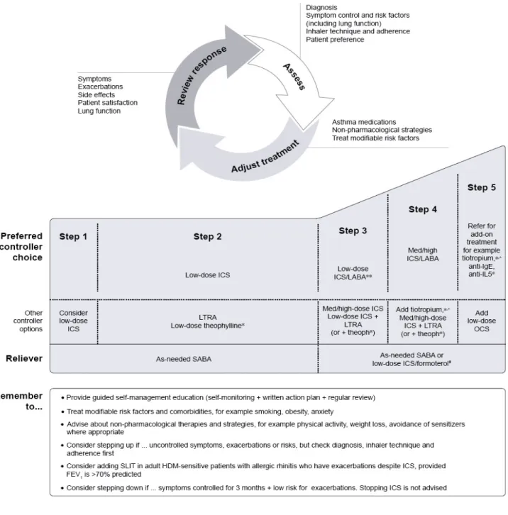 Figure 2.1 Stepwise approach to control symptoms and minimize future risk 