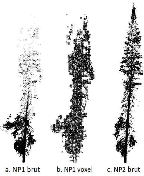 Figure  1:  (a)  Nuage  de  points  brut  d’un  arbre-cible  avant  dégagement, (b) Nuage de points voxelisés (grille de  10  cm  d’arête)  avant  dégagement  et  (c)  Nuage  de  points brut après dégagement  