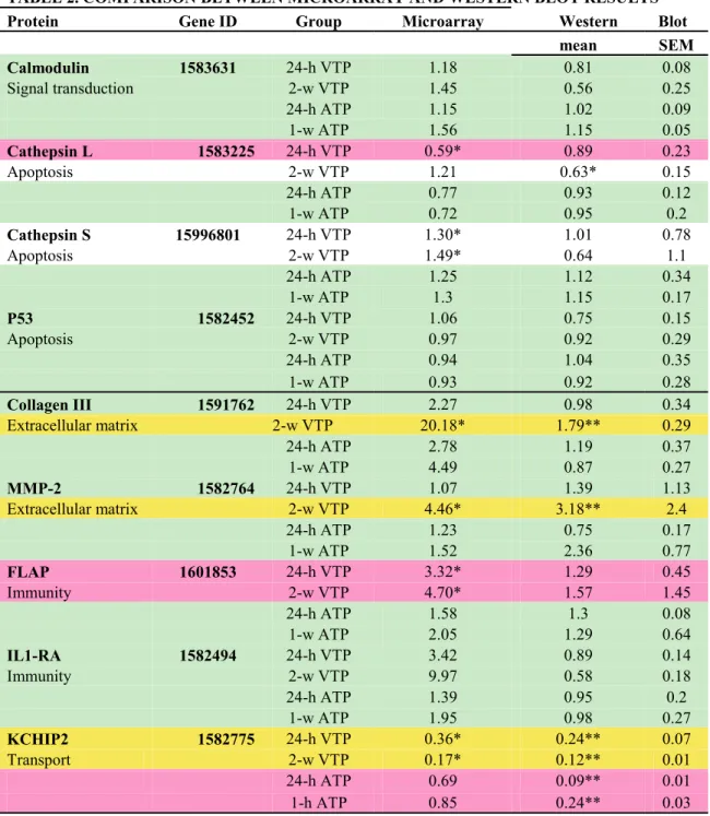 TABLE 2. COMPARISON BETWEEN MICROARRAY AND WESTERN BLOT RESULTS