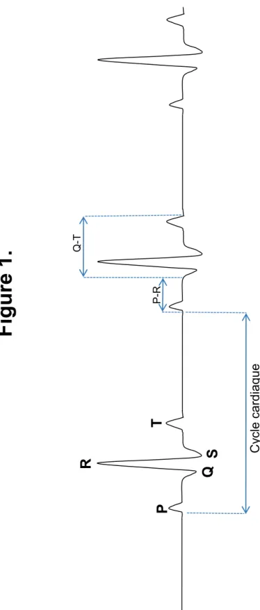 Figure 1. P QR S