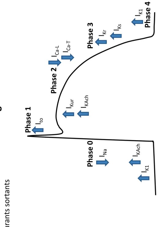 Figure 2. Phase 0