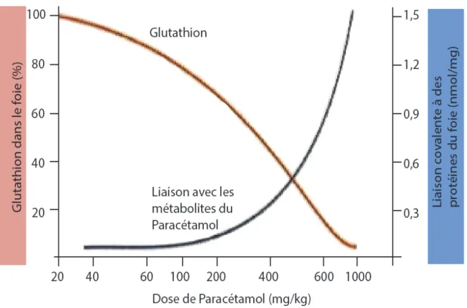 Figure 5 : Réserve de glutathion en fonction de la dose de paracétamol ingéré :  la toxicité du paracétamol survient lorsque le système glutathion est dépassé  par la quantité de NAPQI à détoxifier
