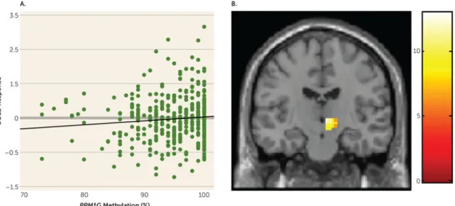 Figure 2. Association of PPM1G Methylation and Activation of the Subthalamic Nucleus During  a Stop Signal Task in Adolescents (N=393) a