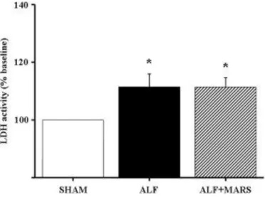 Figure 6. LDH activity (% baseline) in frontal cortex following induction of ALF at T = 0 (*P &lt; 0.05  versus SHAM; 1-way ANOVA)