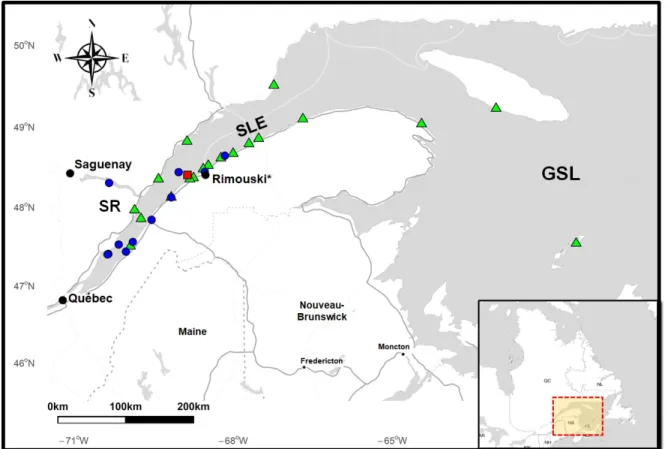 Figure 8: Map showing sites where samples were collected from stranded belugas (green triangles), harbour seals (red square) and potential prey (blue circles)