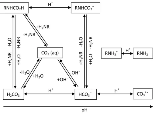 Figure  1.  1.  Reaction  scheme  including  reactions  between  amine,  CO 2 /carbonate  and  protons (reproduced from [10])