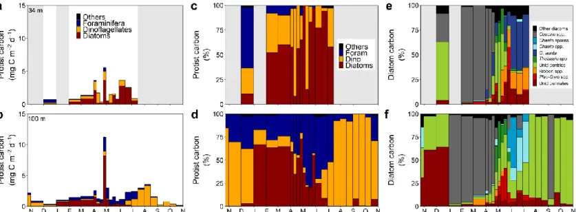 Figure 5. (a, b) Carbon mass fluxes of dominant protist taxa, (c, d) relative carbon contribution of dominant protist  taxa to total protist carbon in the sinking material (others : sum of all types of protists contributing &lt; 10 % of carbon  at any time