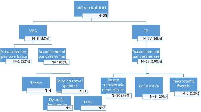 Figure 7. Mode d’accouchement des patientes présentant un utérus cicatriciel et  indication en cas de césarienne (AVB = accouchement voie basse ; EFNR = état fœtal non 
