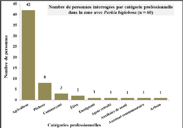 Figure 2.8: Les catégories professionnelles des personnes enquêtées dans la zone 1, c’est-à- c’est-à-dire avec Parkia biglobosa, dans la communauté rurale de Mangagoulack 