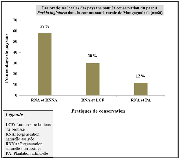 Figure 3.1: Les pratiques locales de conservation du parc à Parkia biglobosa dans la  communauté rurale de Mangagoulack 