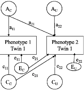 Figure 3. Overview of the bivariate Cholesky model representing common (A C , C C , E C ) and  unique (A U , C U , E U ) latent factors used to evaluate the etiological associations between two  phenotypes