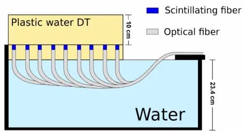Figure 4.1 – Schematic side view of the phantom part of the 2D-PSDA ; 781 PSDs are inserted vertically into a plastic water slab, which is fixed to a water tank made of PMMA.