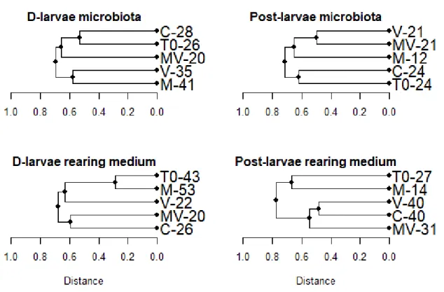 Figure 3: Dendrograms of the genetic fingerprints of the bacterial communities sampled in the microbiota and the rearing medium of blue mussel D-larvae and post-larvae at the beginning of the experiment (T0) and exposed to four different treatments (C: con