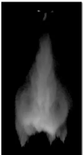 Figure 2.2 Démonstration de l’ambigüité  liée à la définition du front du jet 