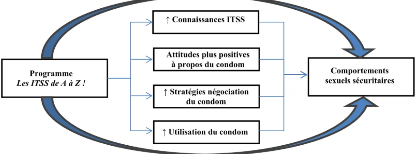 Figure 1 : Schématisation des questions de recherche  2.4  L ES  TIC  ET LA PROMOTION DE LA SANTÉ SEXUELLE