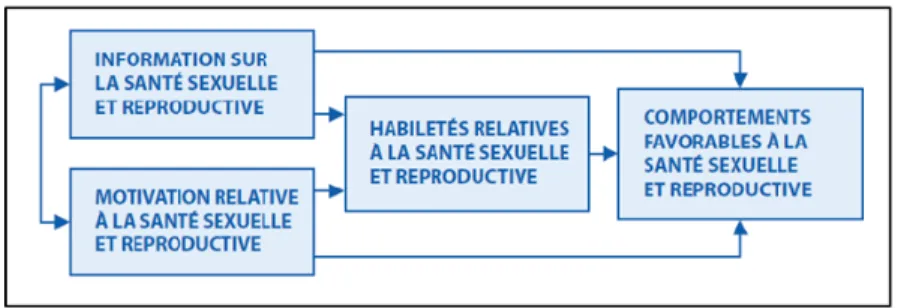 Figure  3 :  Modèle  Information,  Motivation  et  Habiletés  Comportementales  (IMHC)  (Agence de la santé publique du Canada, 2008)