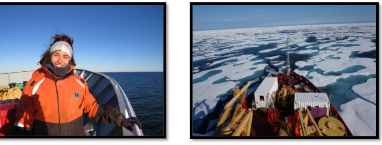 Figure 4  Photos de la mission à bord du NGCC Amundsen dans l’Archipel arctique canadien