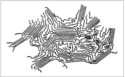 Figure 1.3 Planar zigzag representation of molecules in a semi-crystalline polymer.