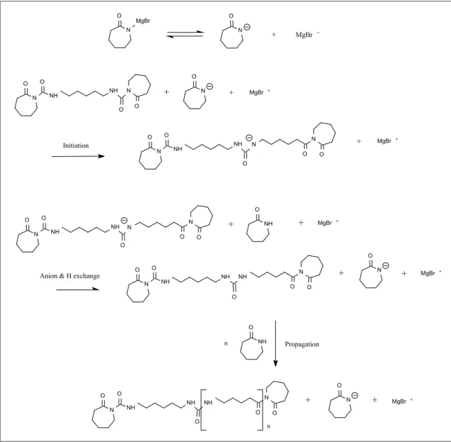 Figure 1.14 APA-6 polymerisation mechanisms, using HDCL as activator and MgBrCL as initiator.