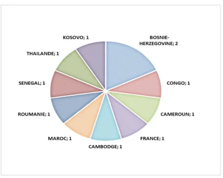 Tableau 5 : Pays d’origine des patientes porteuses de l’AgHBs positif