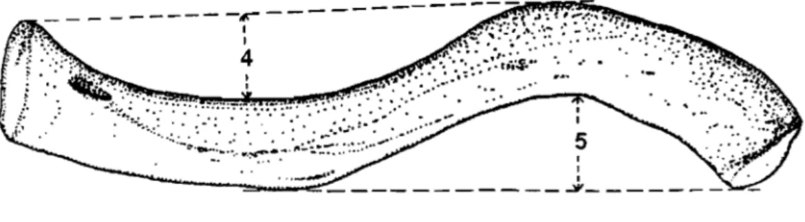 Figure 2. Méthode de mesure des courbures de  la  clavicule de Mays  et al.  (1999,  image modifiée)        -5  1  1  ---~_~~  _ _ _ _ _ _ _ _ _ _ _  ._J, _ _ _ _ _ _ _   _ 