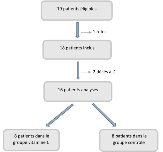 Figure n° 1: Flow chart des patients inclus dans l’étude  