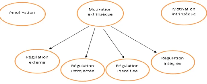Figure 2 : Représentation schématique du continuum des divers types de motivation selon la théorie de  l’autodétermination de Deci et Ryan (2000), tiré de (Morin, 2007) 